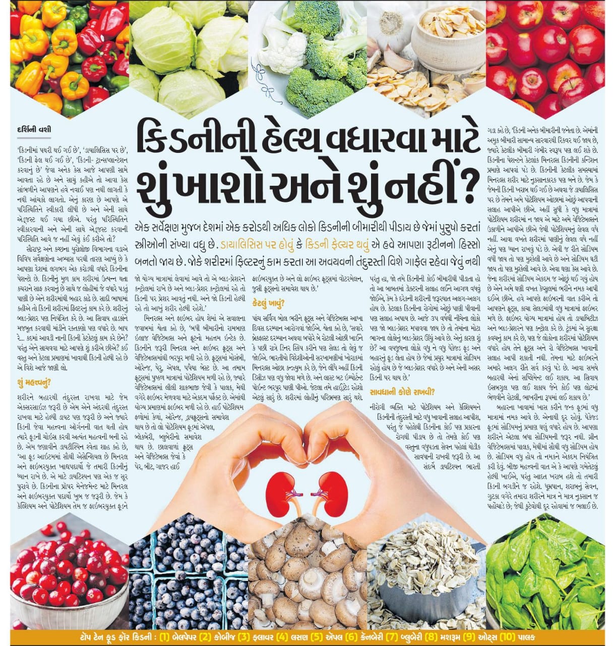 Gujarati Midday - Diet for Kidney Care