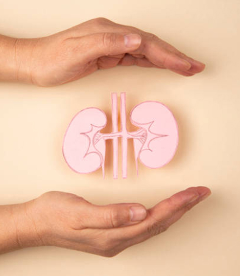 kidney care